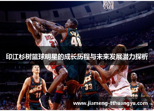印江杉树篮球明星的成长历程与未来发展潜力探析