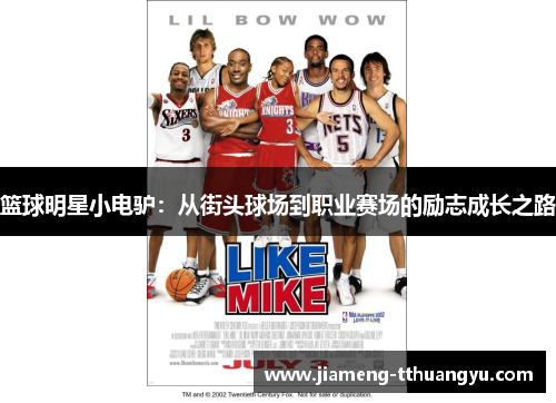 篮球明星小电驴：从街头球场到职业赛场的励志成长之路